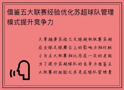 借鉴五大联赛经验优化苏超球队管理模式提升竞争力
